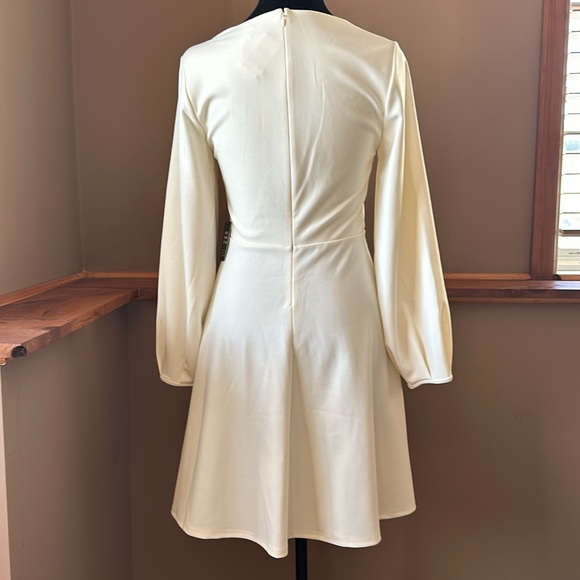 Express Balloon Sleeve Fit and Flare Dress - Picture 3 of 5